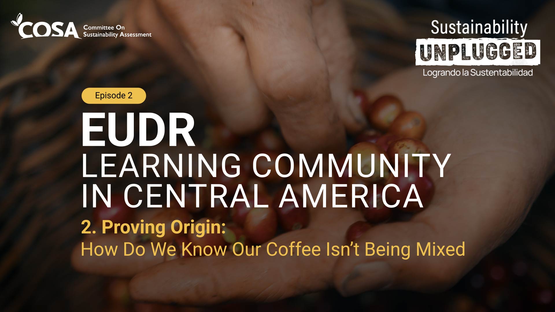 Proving Origin: How Do We Know Our Coffee Isn’t Being Mixed?